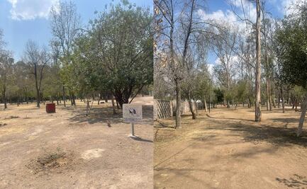 Reanudan obras de rehabilitación en Parque de Morales; tribunal niega suspender el proyecto 