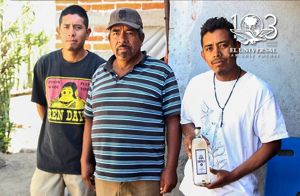 Por denominación de origen del mezcal, productores sufren afectaciones 