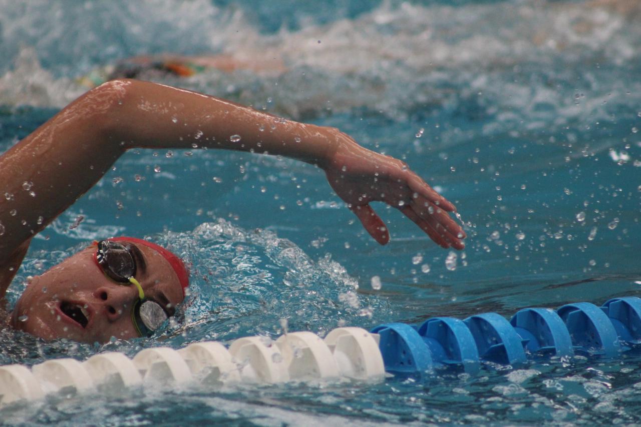 Concluye campeonato estatal de natación