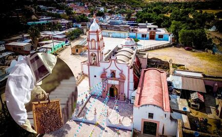 Vive la experiencia de ser apicultor en Villa de Reyes, SLP, y conoce de cerca la gran labor de las abejas