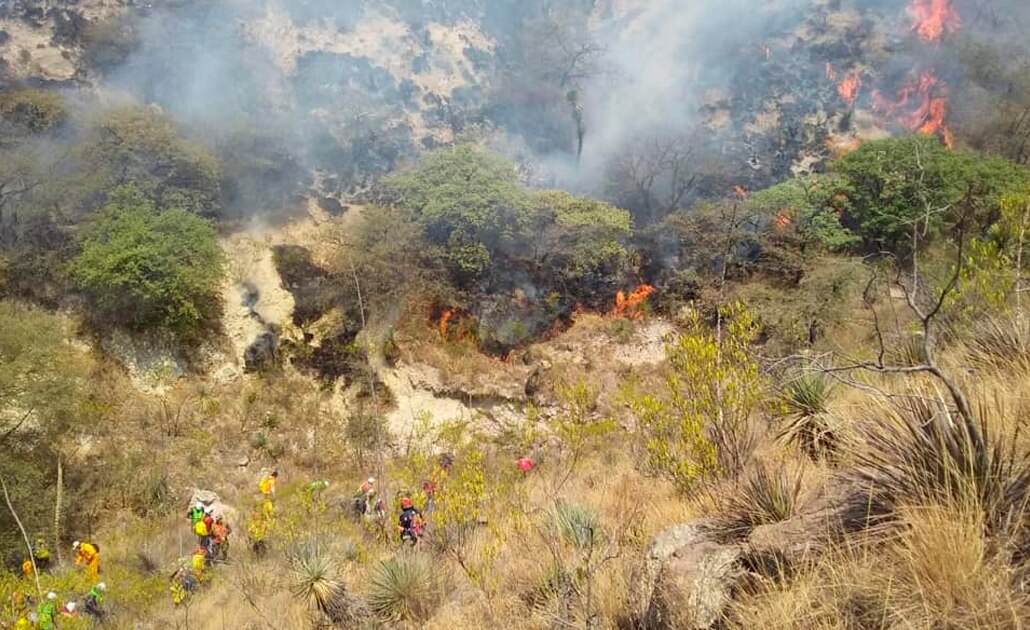 "Incendio en Sierra de San Miguelito, el peor en la historia de SLP"