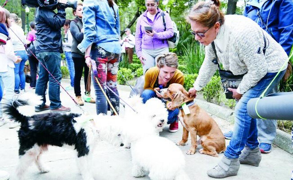 (Foto: Agustín Salinas / Archivo / EL UNIVERSAL)