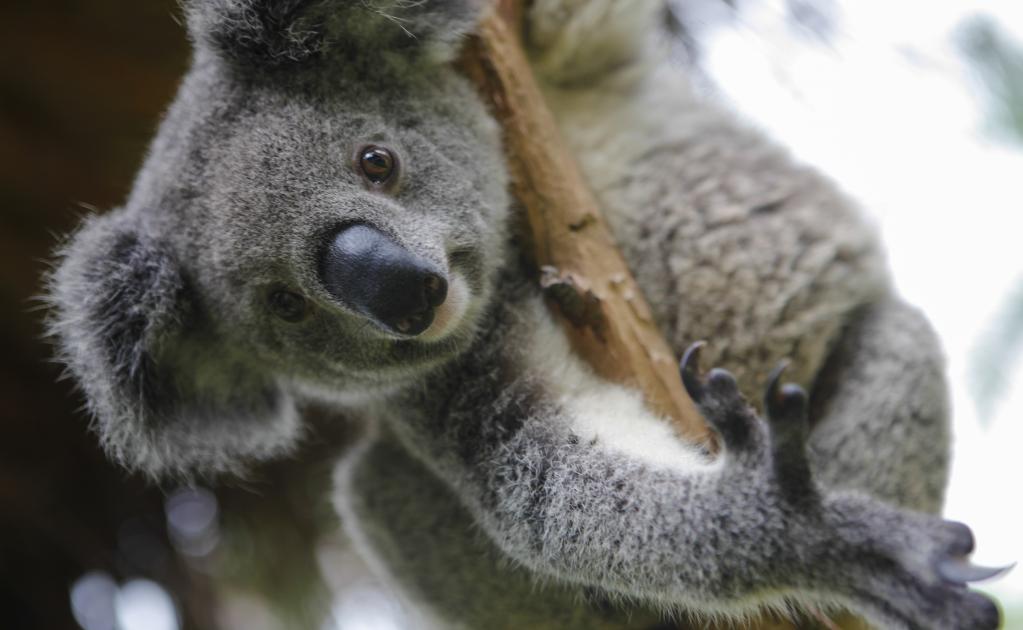 Foto: iStock | Archivo El Universal