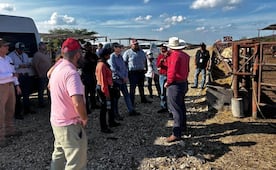 Logran contener gusano barrenador en la Huasteca, asegura gobierno de SLP  