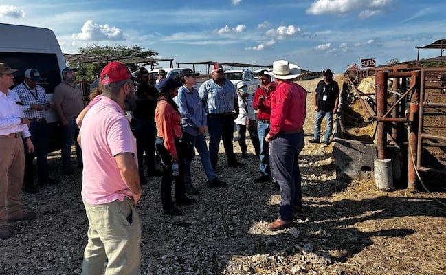 Logran contener gusano barrenador en la Huasteca, asegura gobierno de SLP