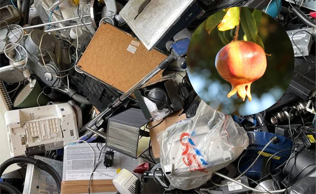 Soledad lanza campaña de cambio de residuos electrónicos.