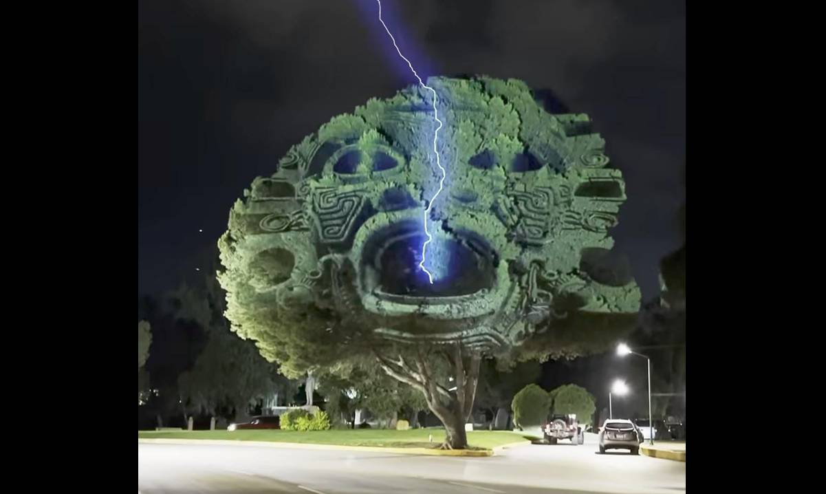 VIDEO: Tlaloc cobra vida en los Árboles Emblemáticos de SLP en una experiencia interactiva