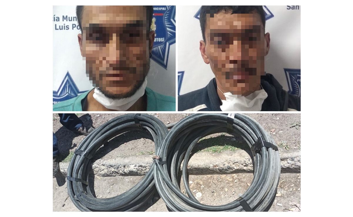 Roban cables de teléfono y dejan incomunicados a 300 domicilios en SLP