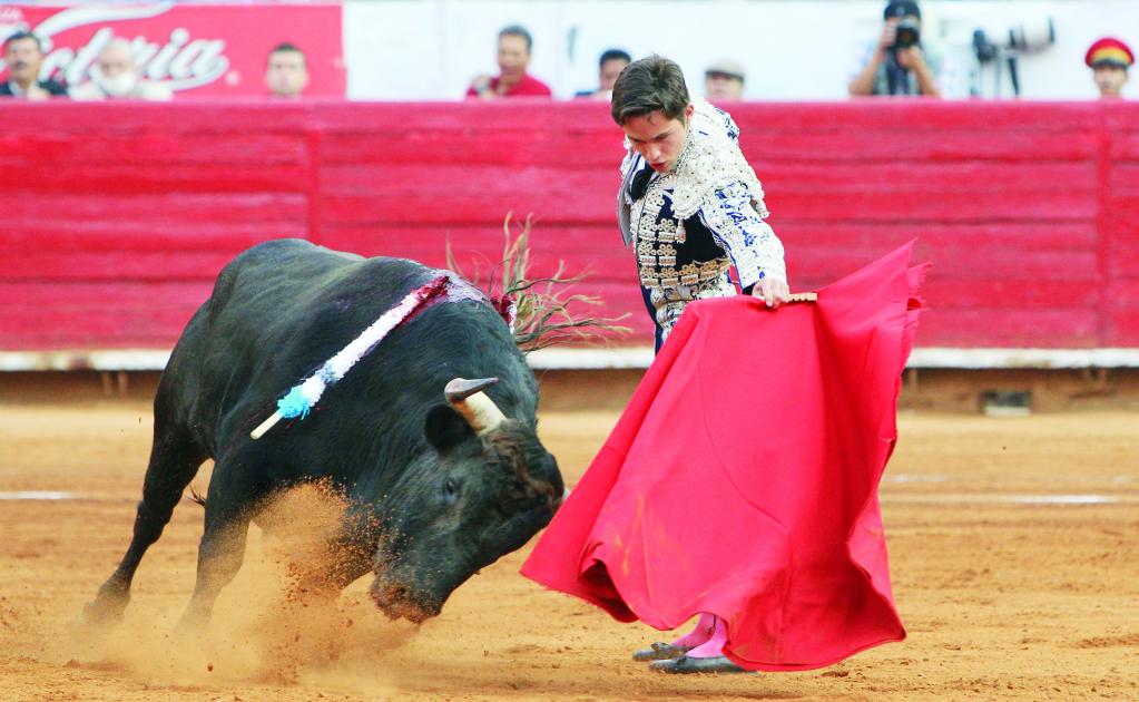 "Iniciativa para prohibir corridas de toros debe analizarse a fondo"