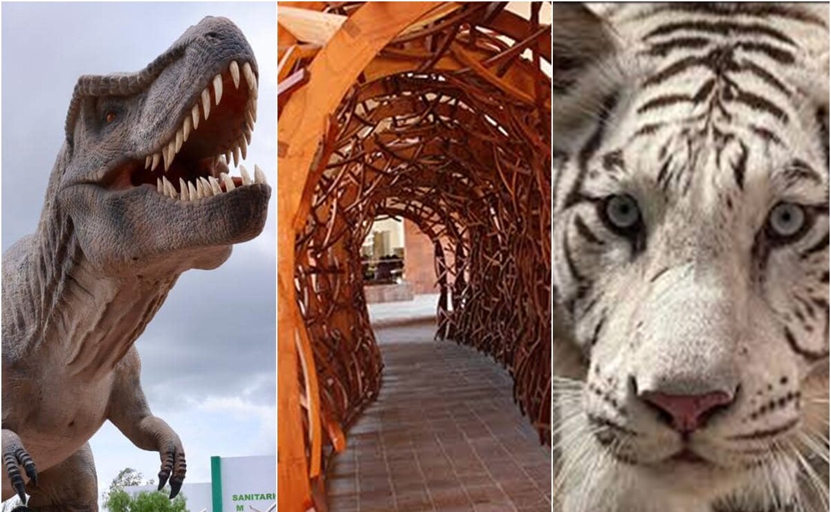 Día del Niño 2025 en SLP: Cinco lugares para festejar a los pequeños el 30 de abril