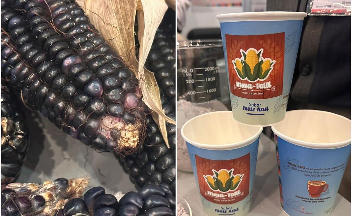 "Masa-tolli", estudiantes crean atole instantáneo que rescata al maíz azul criollo