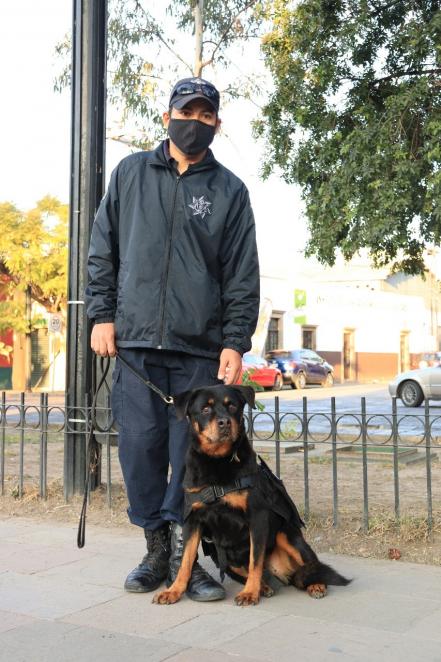 Bonie, Candie y Camila, un ejemplo de amor y profesionalismo de la unidad canina de SLP