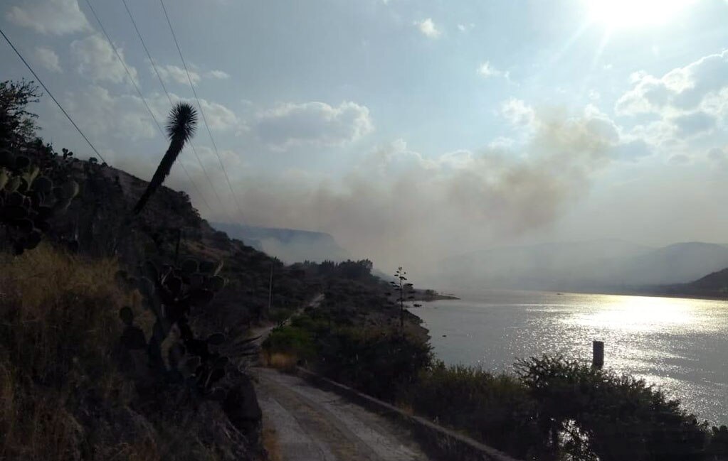 Controlan incendio forestal que amenazaba al zoológico de Mexquitic