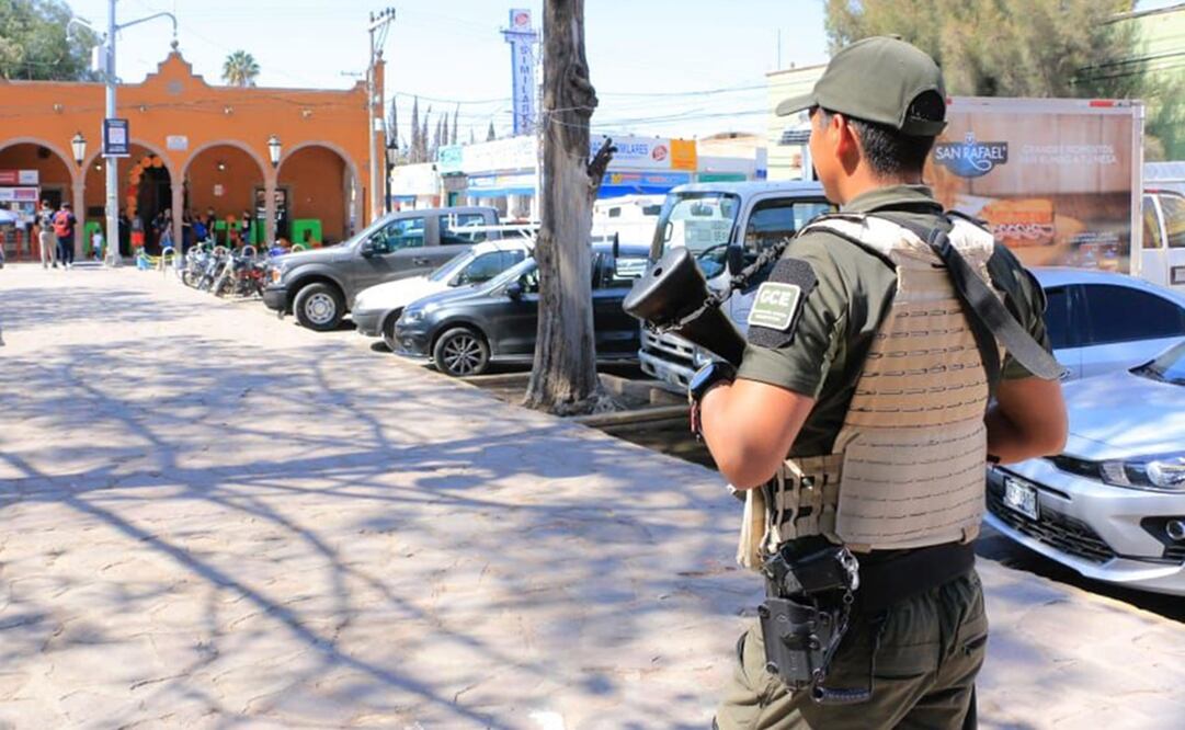 Seguridad de Villa de Pozos. Foto: Especial