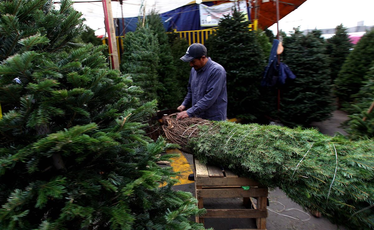 ¿Dónde se puede reciclar el árbol Navidad en SLP?