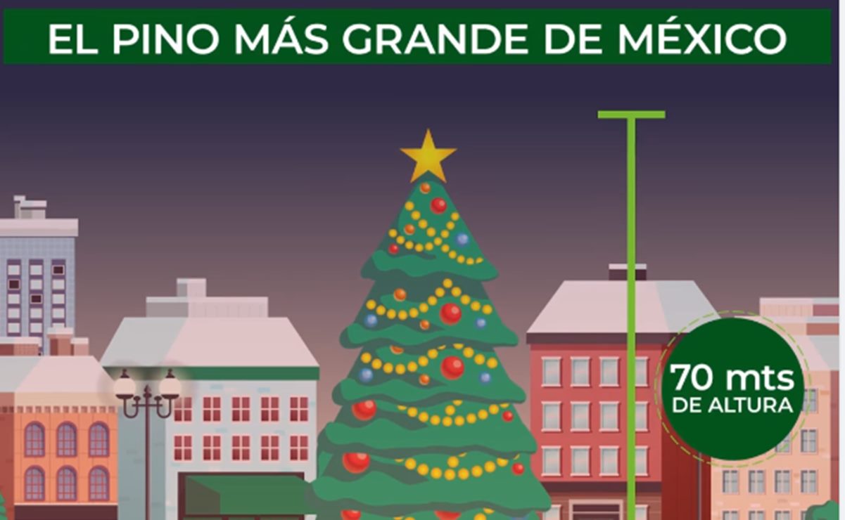 San Luis Potosí tendrá árbol de Navidad más grande de México; medirá 70 metros