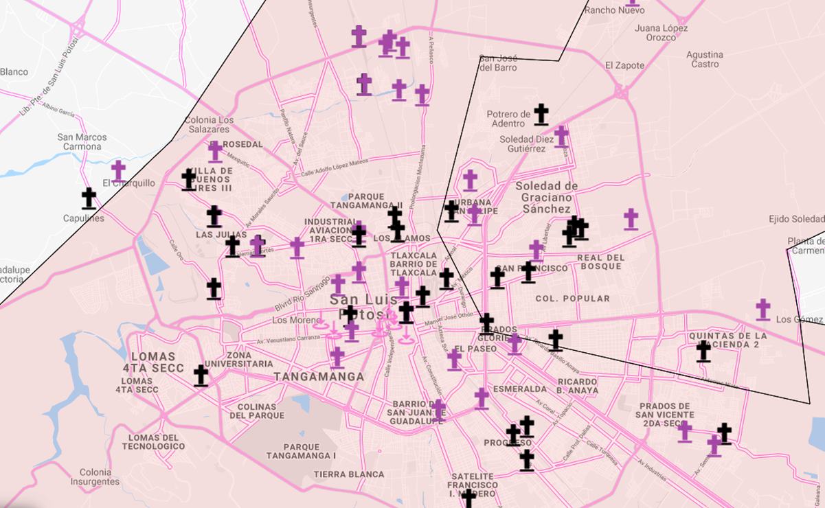 Crean mapa de feminicidios y muertes violentas de mujeres en SLP