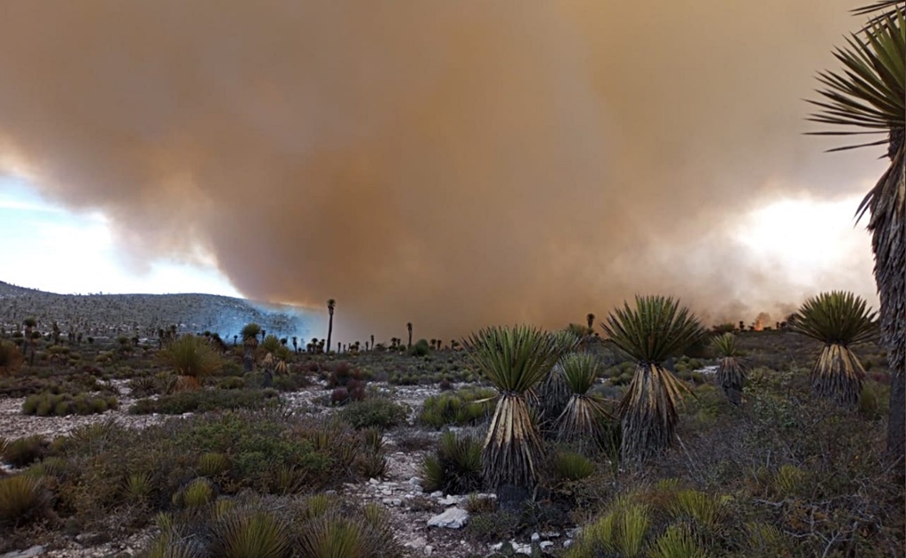 Controlan en su totalidad incendio forestal en El Milagro, Guadalcázar
