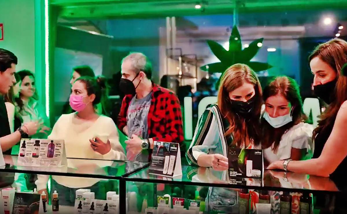 Potosinos rompen tabúes del cannabis. Esto consumen en tienda de Fox en SLP