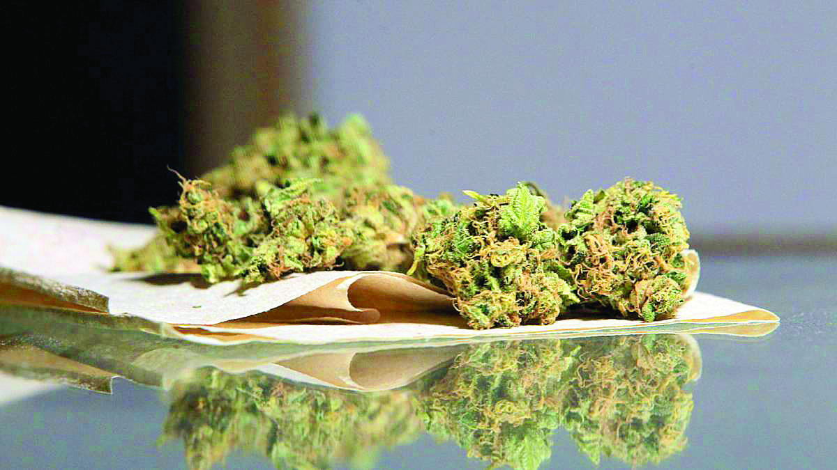 Gobierno ve positiva la aprobación en comisiones de la legalización de la mariguana
