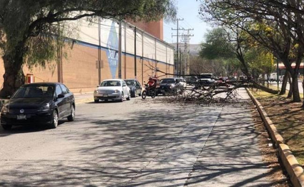 Vientos no provocaron afectaciones graves en San Luis Potosí
