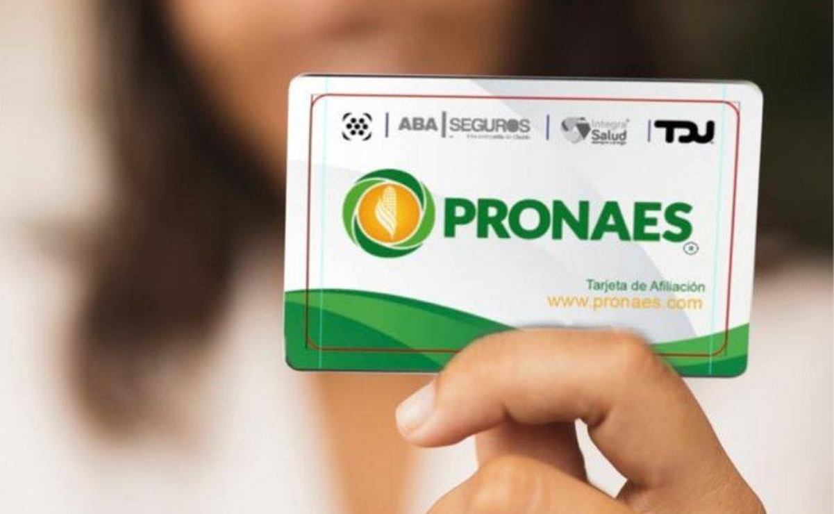 Banco de Alimentos y Pronaes lanzan tarjeta de beneficios sociales