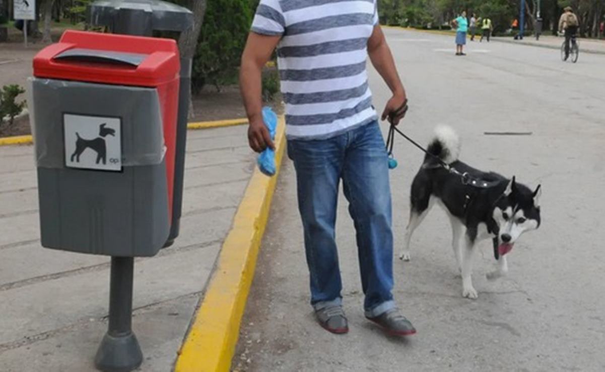 Por envenenamiento, Parque de Morales aplica nuevas reglas para asistir con mascotas