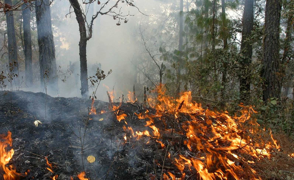 Advierte Protección Civil de Soledad sobre riesgo de incendios en lotes baldíos por altas temperaturas