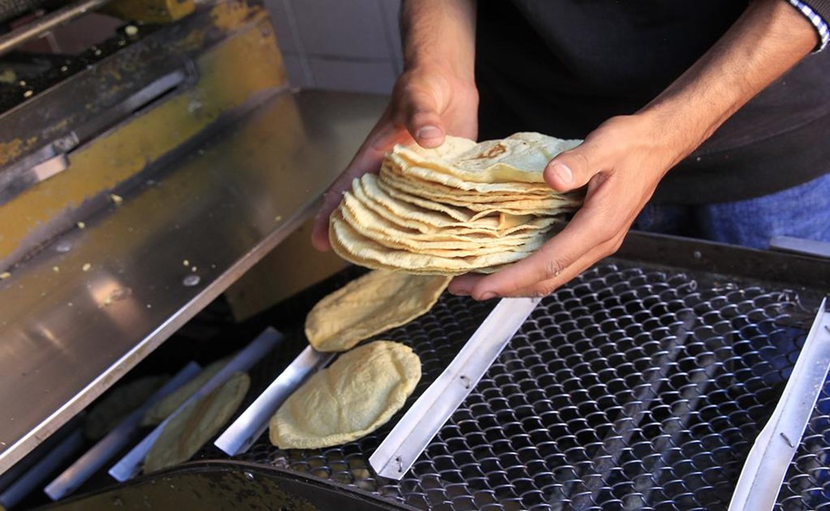 Prevén que esta semana precio de tortilla llegue hasta 18 pesos por kilo en SLP