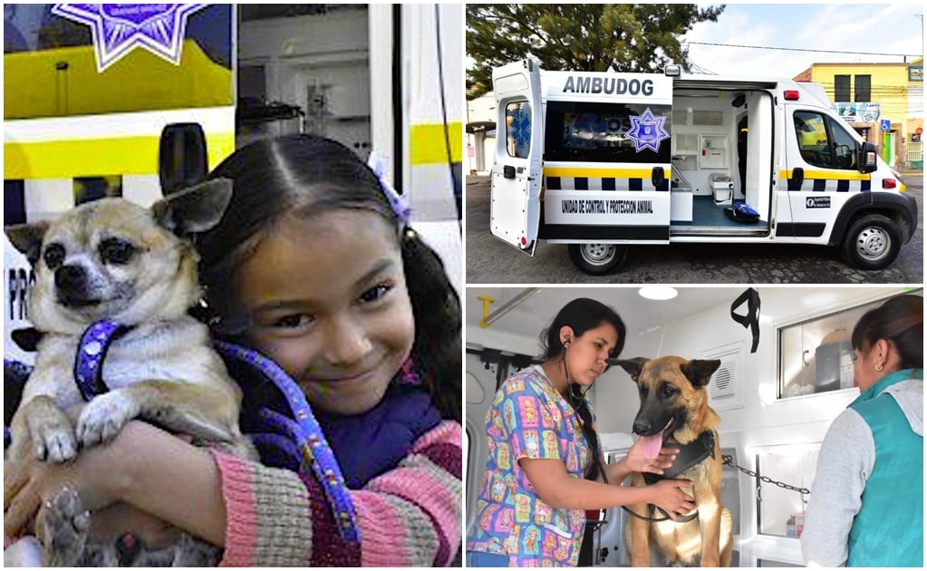 Ambulancia exclusiva para mascotas de Soledad acumula 8 mil consultas