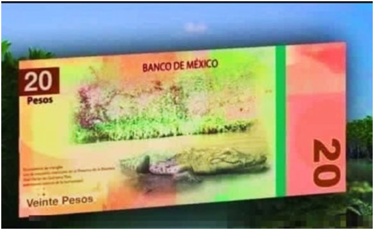 Adiós Benito Juárez y Morelos, así serán los nuevos billetes de 20 y 50 pesos