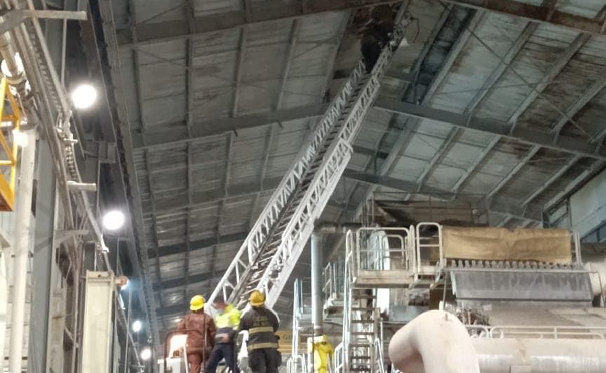 Se registra incendio en empresa de zona industrial de SLP; solo hay daños menores