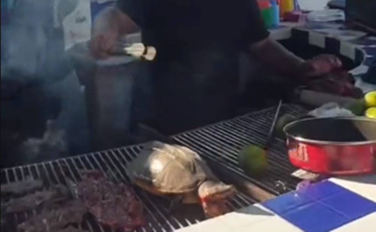 Se viraliza video donde cocinan una tortuga viva en Tabasco