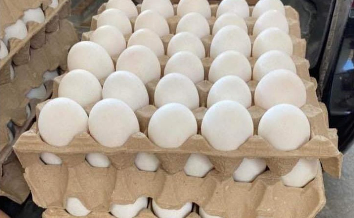 Se dispara precio del huevo en San Luis Potosí, pasó de los 25 pesos a los 40 por kilo 