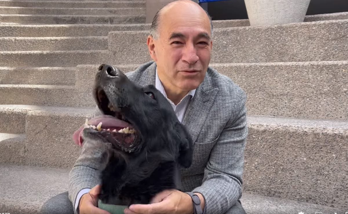 "Es noble y obediente", Enrique Galindo busca hogar para perrito encontrado en SLP