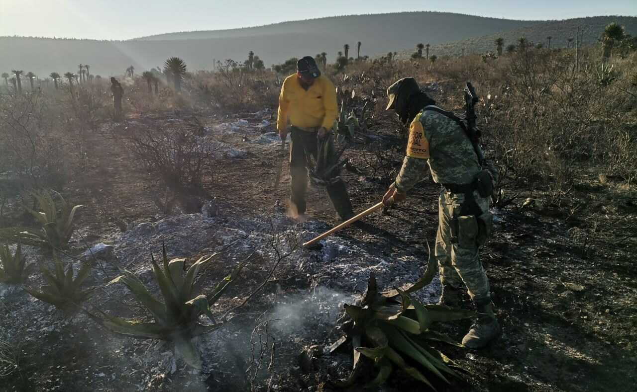 Incendio forestal en SLP consume 215 hectáreas; Ejército y brigadistas trabajan para combatirlo