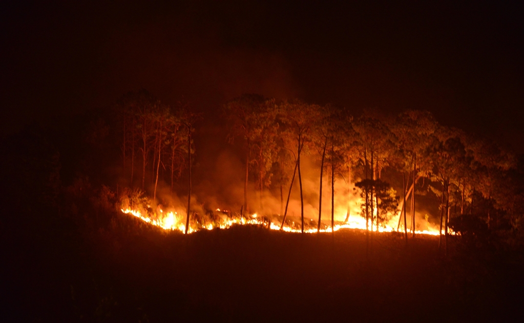 Reportan incendios forestales sin control en sierras y predios particulares de SLP 